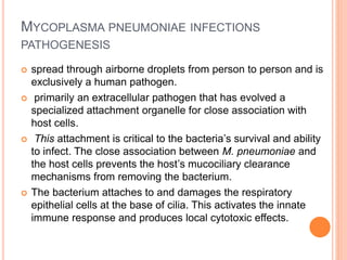 MYCOPLASMA PNEUMONIAE INFECTIONS
PATHOGENESIS
 spread through airborne droplets from person to person and is
exclusively a human pathogen.
 primarily an extracellular pathogen that has evolved a
specialized attachment organelle for close association with
host cells.
 This attachment is critical to the bacteria’s survival and ability
to infect. The close association between M. pneumoniae and
the host cells prevents the host’s mucociliary clearance
mechanisms from removing the bacterium.
 The bacterium attaches to and damages the respiratory
epithelial cells at the base of cilia. This activates the innate
immune response and produces local cytotoxic effects.
 