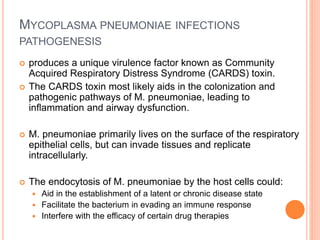 MYCOPLASMA PNEUMONIAE INFECTIONS
PATHOGENESIS
 produces a unique virulence factor known as Community
Acquired Respiratory Distress Syndrome (CARDS) toxin.
 The CARDS toxin most likely aids in the colonization and
pathogenic pathways of M. pneumoniae, leading to
inflammation and airway dysfunction.
 M. pneumoniae primarily lives on the surface of the respiratory
epithelial cells, but can invade tissues and replicate
intracellularly.
 The endocytosis of M. pneumoniae by the host cells could:
 Aid in the establishment of a latent or chronic disease state
 Facilitate the bacterium in evading an immune response
 Interfere with the efficacy of certain drug therapies
 