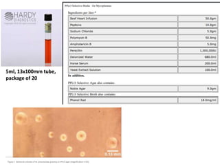 5ml, 13x100mm tube,
package of 20
 