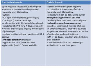Francisella tularensis Coxiella Burnetii
•gram-negative coccobacillus with bipolar
appearance, nonmotile and capsulated
•biosafety level 3 laboratory
•Culture:
•BCG agar (blood cysteine glucose agar)
•CHAB agar (cysteine heart agar
supplemented with 9% heated sheep blood)
• incubated at 37° C for 2-4 days aerobically
.Colonies are blue-gray ,slightly mucoid zone
of β-hemolysis
•catalase positive, oxidase negative and H2 S
positive
•Antibody detection: mainstay
•Agglutination tests (latex and tube
agglutination) and ELISA are available.
•a small pleomorphic gram-negative
coccobacillus. It is extremely fastidious
•biosafety level 3 laboratory.
•cell culture: It can be done using human
embryonic lung fibroblast cell lines
•Antibody detection: most commonly used
•Indirect immunofluorescence assay
:sensitive, specific and method of choice
•In chronic infections, antibodies to phase I
antigens are elevated, whereas in acute rise
of antibodies to phase II antigens.
•lgM :7- 10 days of infection IgG:14-20 days
after infection
•Complement fixation test detects lgG
antibodies to phase II antigens.
 