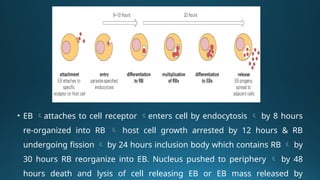 Atypical Pneumonia: Mycoplasma, Chlamydia, and Legionella – Clinical ...