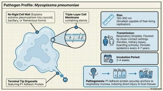Comprehensive Overview of Atypical Pneumonia and Its Pathogens | PPTX