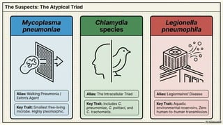 Comprehensive Overview of Atypical Pneumonia and Its Pathogens | PPTX