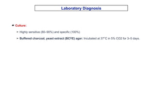 Comprehensive Overview of Atypical Pneumonia and Its Pathogens | PPTX
