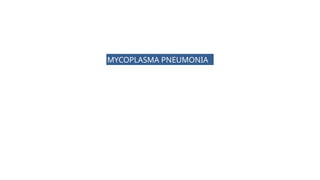 Comprehensive Overview of Atypical Pneumonia and Its Pathogens | PPTX