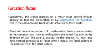 Furcation flutes
• Sometimes, the crown margins on a molar must extend enough
apically so that the preparation of F.L. approaches the furcation,
where the common root trunk divides into two or three roots.
• There will be an intersection of F.L. with vertical flutes and concavities
in the common root trunk extending from the actual furcation in the
direction of CEJ. The axial S. occlusal to this gingival F.L. must also
have vertical concavities or flutes until it meets the facial groove in
the occlusal 1/3 of the facial surface.
 