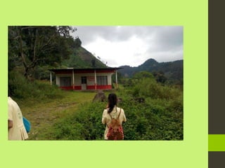 Atzacan rincon grande