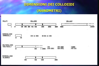 DIMENSIONI DEI COLLOIIDI (NANOMETRI) 