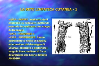 LA RETE LINFATICA CUTANEA - 1 1874 - SAPPEY mediante studi anatomici su cadavere iniettando  mercurio ha realizzato una mappa di drenaggio 1972 - HAAGENSE e 1976 - SUGARBAKER   hanno  confermato la teoria di Sappey  ad eccezione del drenaggio di  un’area (anteriore e posteriore)  lungo la linea mediana di 5 cm di larghezza che hanno definito  AMBIGUA 