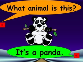 What animal is this? It’s a panda. 