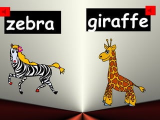 zebra   giraffe
 