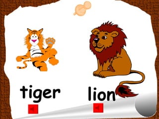 tiger   lion
 