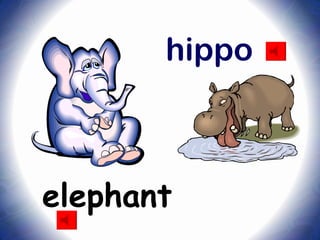 hippo



elephant
 
