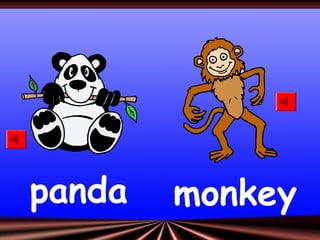 panda monkey
 