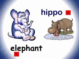 elephant
hippo
 