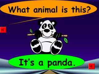 What animal is this?
It’s a panda.
 