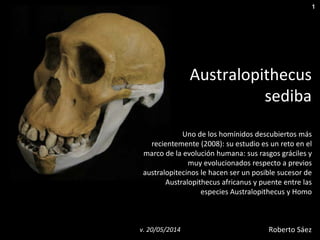 1
El complejo encaje de Australopithecus
sediba en la transición hacia Homo
Roberto Sáezv. 13/10/2015 Nutcrackerman.com
 