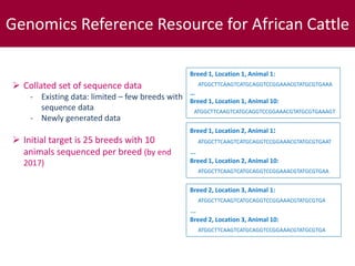 Developing a genomics reference resource on African cattle
