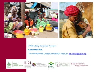 Developing a genomics reference resource on African cattle