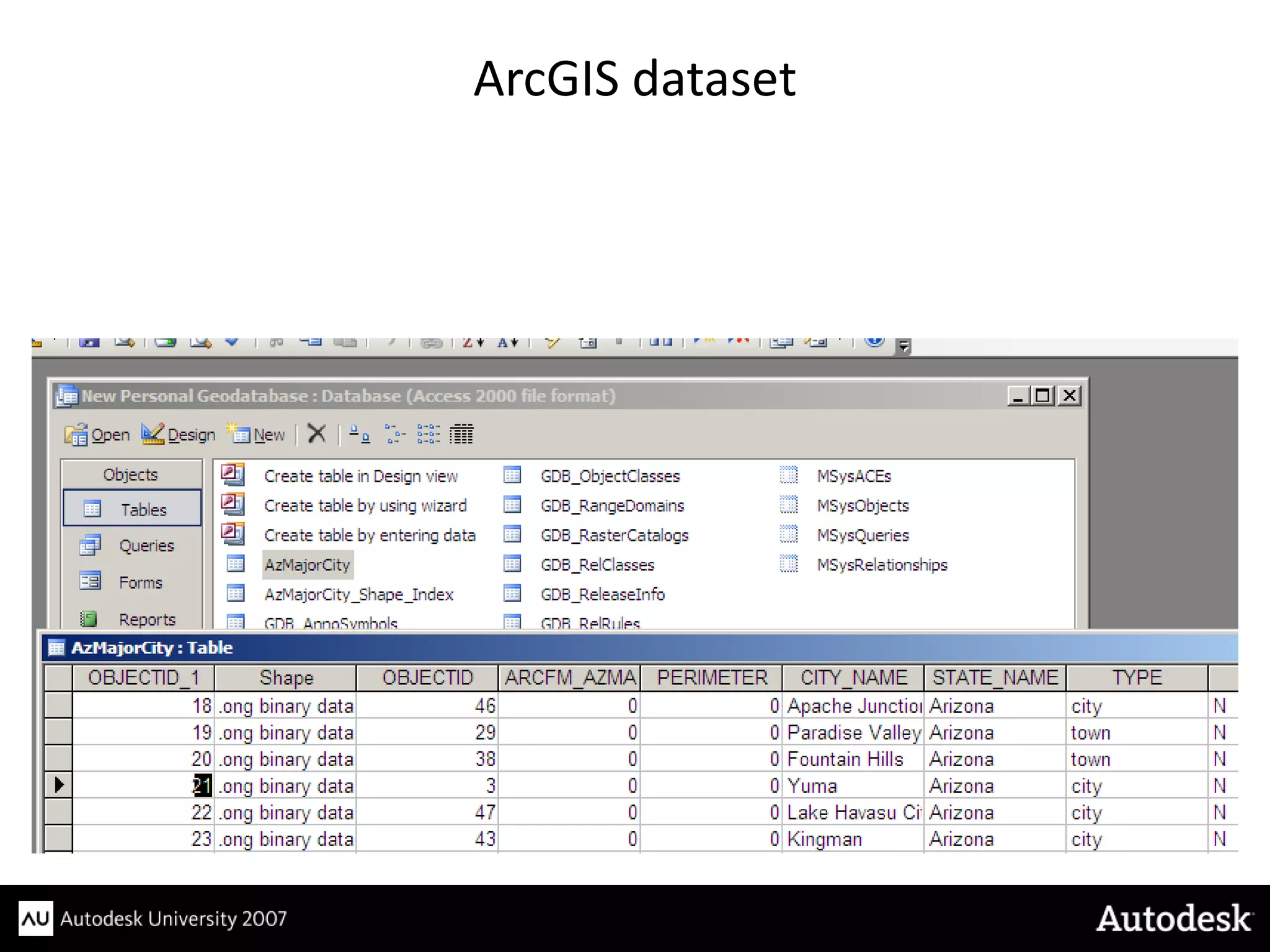 ArcGIS dataset
 