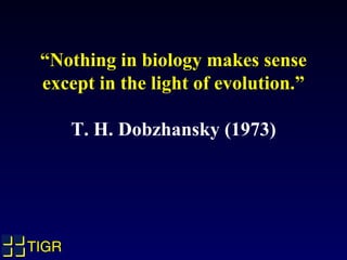 TIGRTIGRTIGRTIGR
“Nothing in biology makes sense
except in the light of evolution.”
T. H. Dobzhansky (1973)
 