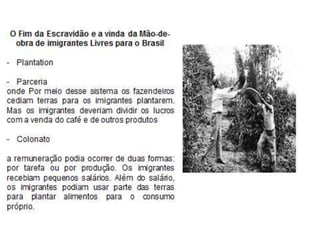 Brasil do Café Parte I e II.