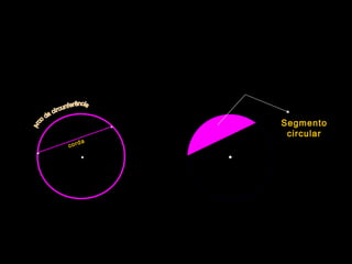 •
•
• Segmento
circular
corda
 