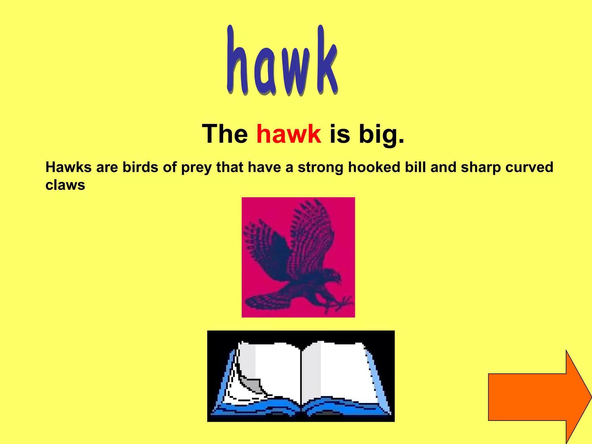 hawk The  hawk  is big. Hawks are birds of prey that have a strong hooked bill and sharp curved claws   