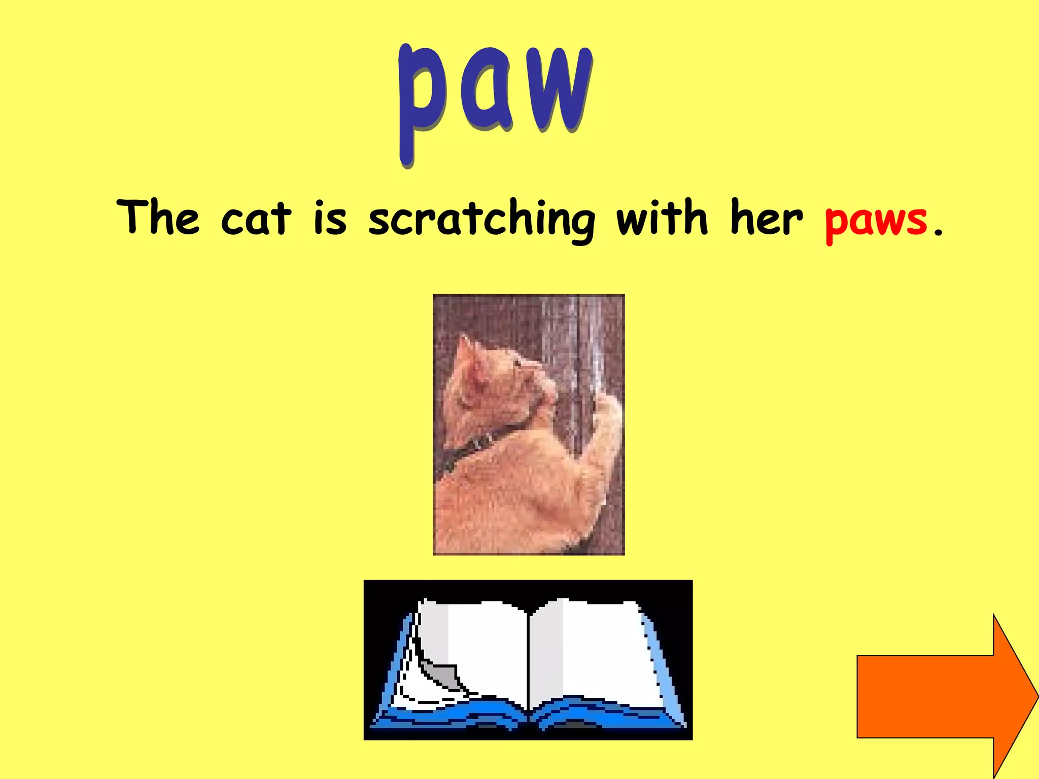 paw The cat is scratching with her  paws . 