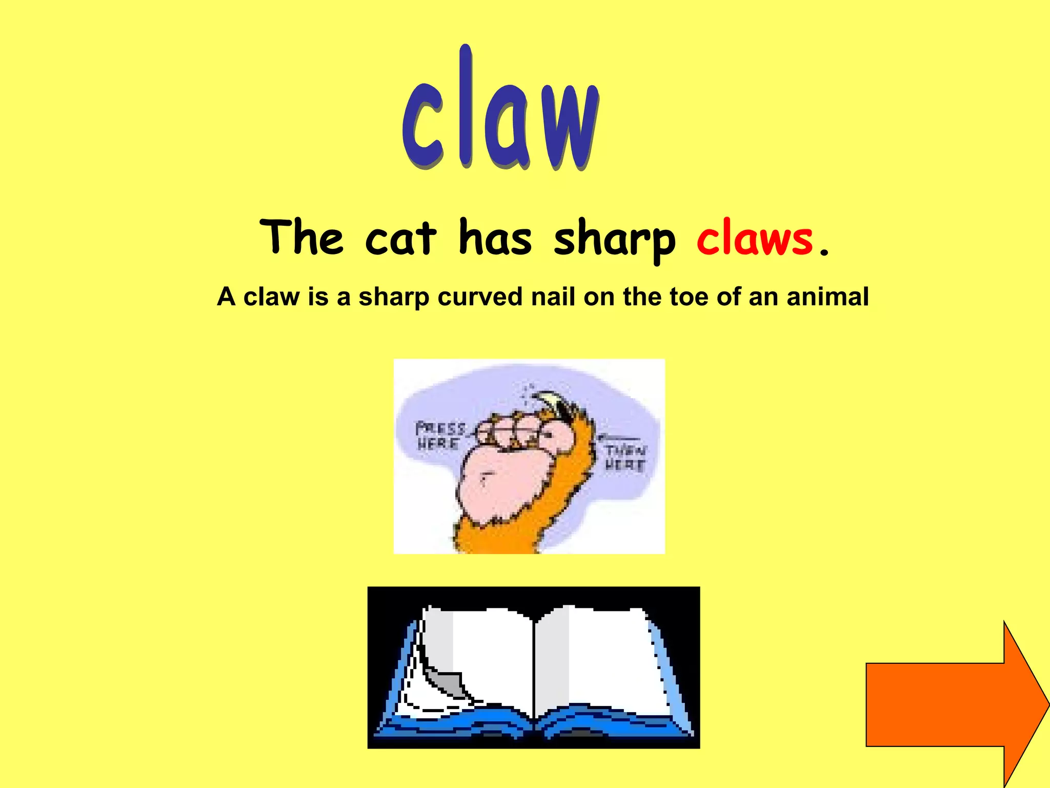 claw The cat has sharp  claws . A claw is a sharp curved nail on the toe of an animal   