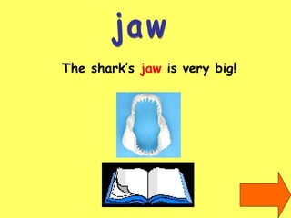 jaw The shark’s  jaw  is very big! 