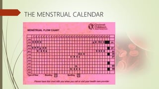 THE MENSTRUAL CALENDAR
 