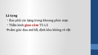 Lá t ngạ
• Bao ph các t ng trong khoang phúc m củ ạ ạ
• Th n kinhầ giao c mả T5-L3
c m giác đau m h , đ nh khu không rõ r tả ơ ồ ị ệ
 