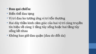 • Đau qui chi u:ế
• Bi n th đau t ngế ể ạ
• V trí đau ko t ng ng v trí t n th ngị ươ ứ ị ổ ươ
• Hai dây th n kinh c m giác c a hai v trí cùng truy nầ ả ủ ị ề
tín hi u v cùng 1 t ng t y s ng ho c hai t ng t yệ ề ầ ủ ố ặ ầ ủ
s ng k nhauố ề
• Không bao gi đau qu n (đau do đ t da)ờ ặ ố
 