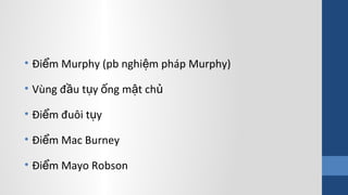 • Đi m Murphy (pb nghi m pháp Murphy)ể ệ
• Vùng đ u t y ng m t chầ ụ ố ậ ủ
• Đi m đuôi t yể ụ
• Đi m Mac Burneyể
• Đi m Mayo Robsonể
 