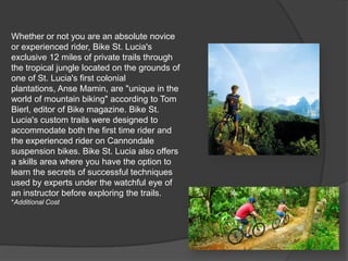 Whether or not you are an absolute novice
or experienced rider, Bike St. Lucia's
exclusive 12 miles of private trails through
the tropical jungle located on the grounds of
one of St. Lucia's first colonial
plantations, Anse Mamin, are "unique in the
world of mountain biking" according to Tom
Bierl, editor of Bike magazine. Bike St.
Lucia's custom trails were designed to
accommodate both the first time rider and
the experienced rider on Cannondale
suspension bikes. Bike St. Lucia also offers
a skills area where you have the option to
learn the secrets of successful techniques
used by experts under the watchful eye of
an instructor before exploring the trails.
*Additional Cost

 