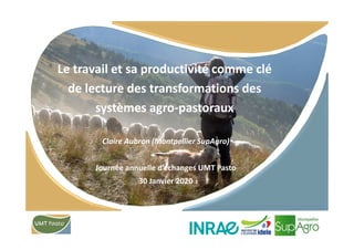 Le travail et sa productivité comme clé
de lecture des transformations des
systèmes agro-pastoraux
Claire Aubron (Montpellier SupAgro)
Journée annuelle d’échanges UMT Pasto
30 Janvier 2020
1
 