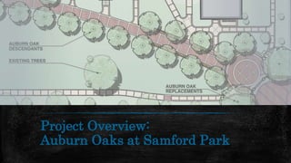 Project Overview:
Auburn Oaks at Samford Park
 