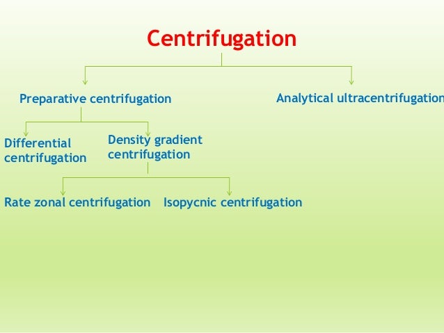 Analytical Ultracentrifugation processor schematic 