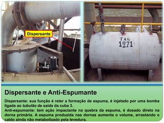 Dispersante 
Dispersante e Anti-Espumante 
Dispersante: sua função é reter a formação de espuma, é injetado por uma bomba 
ligada ao tubulão de saída da cuba 3. 
Anti-espumante: tem ação impactante na quebra da espuma, é dosado direto na 
dorna primária. A espuma produzida nas dornas aumenta o volume, arrastando o 
caldo ainda não metabolizado pela levedura. 
 