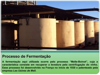 Processo de Fermentação 
A fermentação aqui utilizada ocorre pelo processo “Melle-Boinot”, cuja a 
característica consiste em recuperar a levedura pela centrifugação do vinho. 
Esse processo foi desenvolvido na França no início de 1930 e patenteado pela 
empresa Les Usines de Mell. 
 