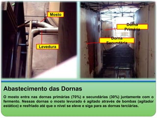 Dorna 
Primária 
Dorna 
Secundária 
Mosto 
Levedura 
Abastecimento das Dornas 
O mosto entra nas dornas primárias (70%) e secundárias (30%) juntamente com o 
fermento. Nessas dornas o mosto levurado é agitado através de bombas (agitador 
estático) e resfriado até que o nível se eleve e siga para as dornas terciárias. 
 