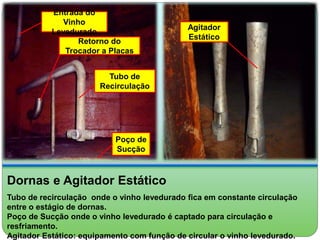 Entrada do 
Vinho 
Levedurado 
Retorno do 
Trocador a Placas 
Tubo de 
Recirculação 
Poço de 
Sucção 
Agitador 
Estático 
Dornas e Agitador Estático 
Tubo de recirculação onde o vinho levedurado fica em constante circulação 
entre o estágio de dornas. 
Poço de Sucção onde o vinho levedurado é captado para circulação e 
resfriamento. 
Agitador Estático: equipamento com função de circular o vinho levedurado. 
 
