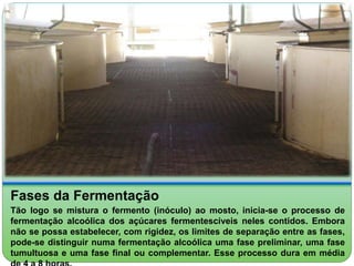 Fases da Fermentação 
Tão logo se mistura o fermento (inóculo) ao mosto, inicia-se o processo de 
fermentação alcoólica dos açúcares fermentescíveis neles contidos. Embora 
não se possa estabelecer, com rigidez, os limites de separação entre as fases, 
pode-se distinguir numa fermentação alcoólica uma fase preliminar, uma fase 
tumultuosa e uma fase final ou complementar. Esse processo dura em média 
de 4 a 8 horas. 
 