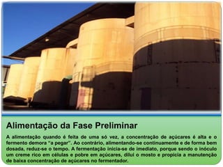 Alimentação da Fase Preliminar 
A alimentação quando é feita de uma só vez, a concentração de açúcares é alta e o 
fermento demora “a pegar”. Ao contrário, alimentando-se continuamente e de forma bem 
dosada, reduz-se o tempo. A fermentação inicia-se de imediato, porque sendo o inóculo 
um creme rico em células e pobre em açúcares, dilui o mosto e propicia a manutenção 
de baixa concentração de açúcares no fermentador. 
 