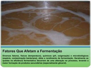 Fatores Que Afetam a Fermentação 
Diversos fatores, físicos (temperatura), químicos (pH, oxigenação) e microbiológicos 
(espécie, contaminação bacteriana), afeta o rendimento da fermentação. Geralmente as 
quedas na eficiência fermentativa decorrem de uma alteração no processo, levando a 
maior formação de produtos secundários (especialmente glicerol). 
 