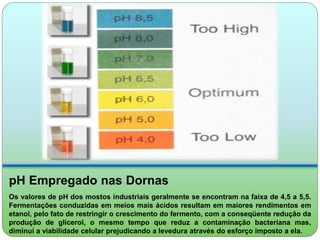 pH Empregado nas Dornas 
Os valores de pH dos mostos industriais geralmente se encontram na faixa de 4,5 a 5,5. 
Fermentações conduzidas em meios mais ácidos resultam em maiores rendimentos em 
etanol, pelo fato de restringir o crescimento do fermento, com a conseqüente redução da 
produção de glicerol, o mesmo tempo que reduz a contaminação bacteriana mas, 
diminui a viabilidade celular prejudicando a levedura através do esforço imposto a ela. 
 