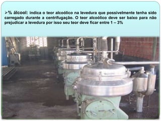 % álcool: indica o teor alcoólico na levedura que possivelmente tenha sido 
carregado durante a centrifugação. O teor alcoólico deve ser baixo para não 
prejudicar a levedura por isso seu teor deve ficar entre 1 – 3% 
 