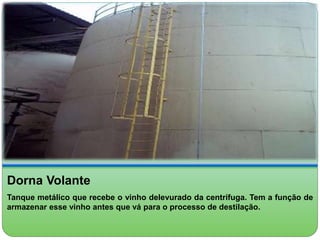 Dorna Volante 
Tanque metálico que recebe o vinho delevurado da centrífuga. Tem a função de 
armazenar esse vinho antes que vá para o processo de destilação. 
 