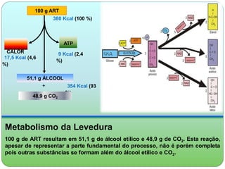 100 g ART 
380 Kcal (100 %) 
ATP 
9 Kcal (2,4 
%) 
CALOR 
17,5 Kcal (4,6 
%) 
354 Kcal (93 
%) 
51,1 g ÁLCOOL 
+ 
48,9 g CO2 
Metabolismo da Levedura 
100 g de ART resultam em 51,1 g de álcool etílico e 48,9 g de CO2. Esta reação, 
apesar de representar a parte fundamental do processo, não é porém completa 
pois outras substâncias se formam além do álcool etílico e CO2. 
 